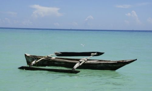 Zdjecie TANZANIA / -ZANZIBAR / Nungwi / Zanzibar