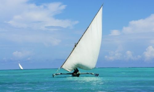 Zdjecie TANZANIA / Zanzibar / Nungwi / Zanzibar