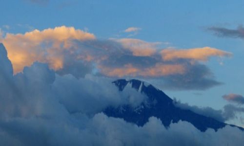 Zdjęcie TANZANIA / - / Moshi / Kilimanjaro o zachodzie
