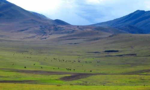 Zdjęcie TANZANIA / - / Moshi / W drodze do Serengeti