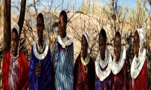 Zdjęcie TANZANIA / - / Moshi / Masajki
