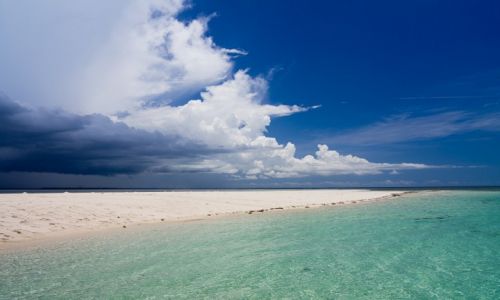 Zdjcie TANZANIA / Zanzibar / Zanzibar / Nadchodzi burza