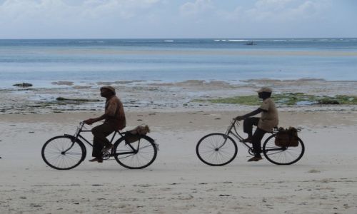 Zdjecie TANZANIA / Zanzibar / Kiwengwa / Po rannym poowie