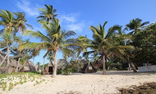 Zdjcie TANZANIA / Tanzania / Tanzania / Nad oceanem - okolice Pangani