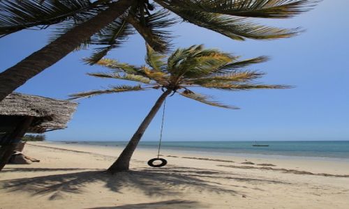 Zdjcie TANZANIA / Tanzania / Tanzania / Nad oceanem - okolice Pangani