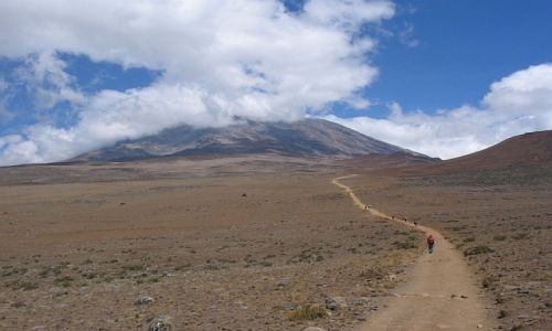 Zdjecie TANZANIA / masyw Kilimandaro / szlak Marangu / w drodze na szczyt