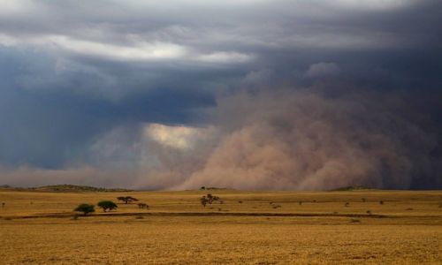 Zdjcie TANZANIA / Lake Natron / Lake Natron / Sandstorm