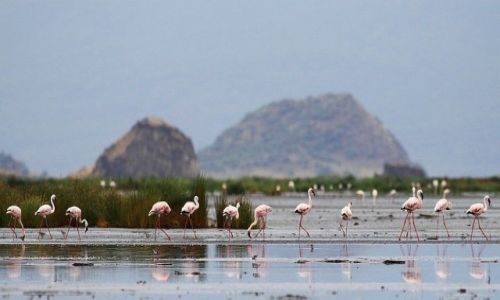 Zdjcie TANZANIA / Lake Natron / Lake Natron / Nad jeziorem Natron