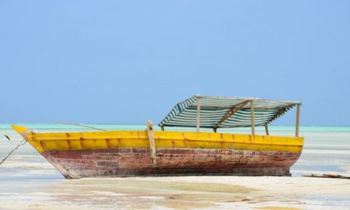 Zdjęcie TANZANIA / Zanzibar / Paje Beach / Taki mały raj
