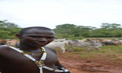 Zdjęcie TANZANIA / Okolice Bungu Village / Okolice Bungu Village / A stadko mam pokaźne...