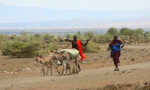 Zdjcie TANZANIA / Mto wa Mbu / Natron / W drodze na targ