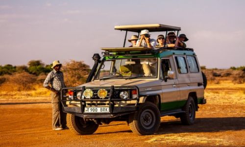 Zdjecie TANZANIA / Pnocna Tanzania / Lake Manyara National Park / Safari