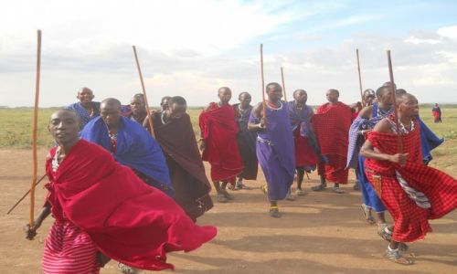 Zdjecie TANZANIA / - / do serengeti / masaje