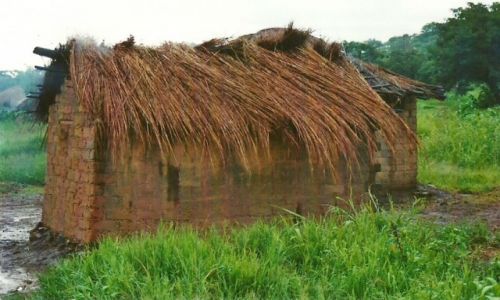 Zdjęcie TANZANIA / Płd. zach. Tanzania / Kaszesza / M4