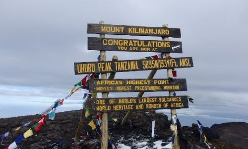 Zdjecie TANZANIA / Kilimanjaro / Uhuru Peak / Akuna matata :)