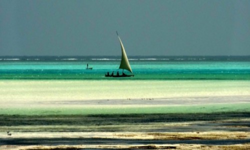 Zdjecie TANZANIA / Zanzibar / Ocean Indyjski / *
