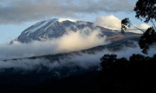 Zdjcie TANZANIA / Moshi  / Kilimanjaro  / Szczyt kilimanjaro 