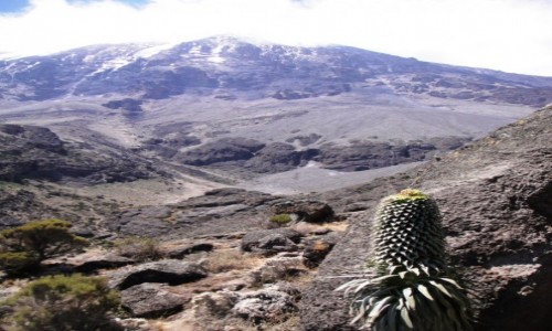 TANZANIA / Tanzania / Tanzania / Kili9
