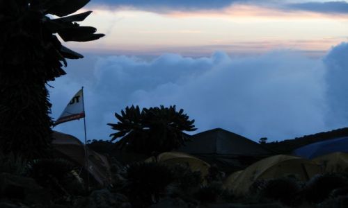 Zdjęcie TANZANIA / Afryka, / Machame Route, obóz na wys.3700 m / W drodze na Kilimanjaro