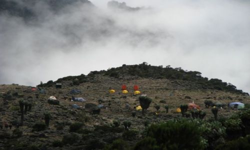 Zdjęcie TANZANIA / Afryka,  / Machame Route, Kilimanjaro / Obóz na wys. 3700 - Kilimanjaro