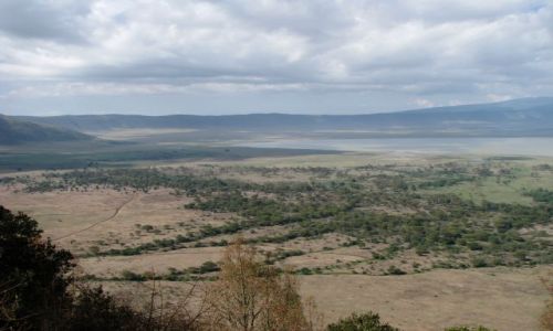 Zdjęcie TANZANIA / Afryka, / Ngorongoro / Krater Ngorongoro
