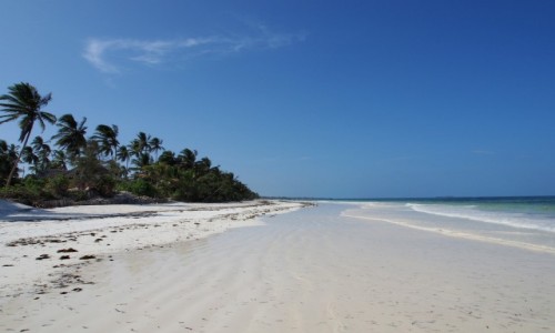 Zdjęcie TANZANIA / Zanzibar / okolice Matemwe / pusto