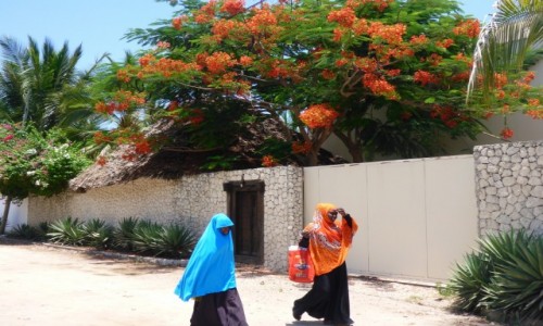 Zdjecie TANZANIA / Zanzibar / Jambiani / migawka..