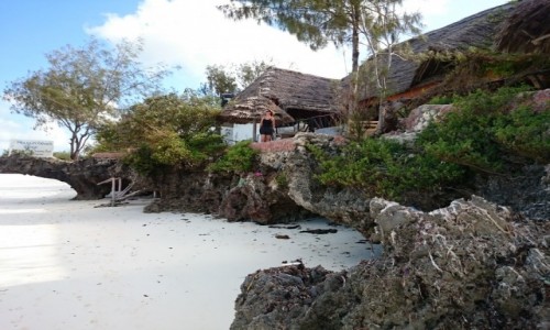 Zdjecie TANZANIA / Zanzibar / Jambiani / Nie do zapomnienia...