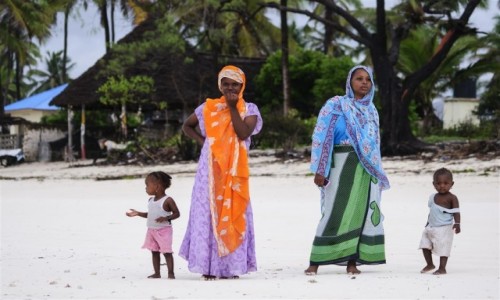 Zdjecie TANZANIA / Zanzibar / Zanzibar / Zanzibar