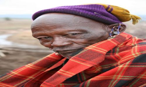 Zdjecie TANZANIA / brak / Tarangire NP / drapieżnik na drzewie
