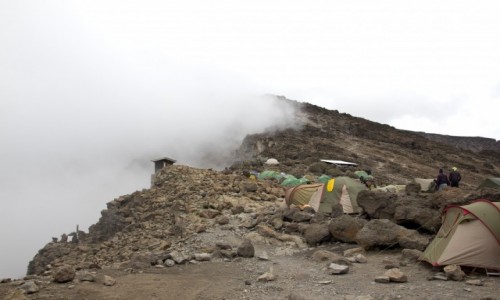 Zdjecie TANZANIA / Kilimanjaro / Baza Kilimanjaro / Kilimanjaro Base Camp