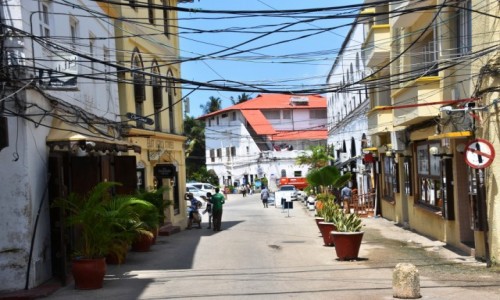 Zdjecie TANZANIA / Zanzibar / zachodnie wybrzee, Stone Town / Duo kabli