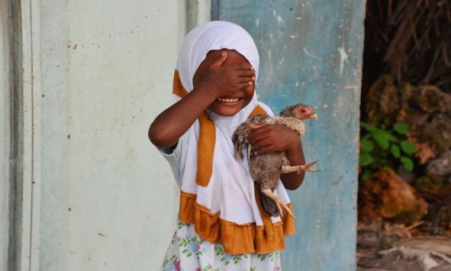 Zdjecie TANZANIA / Zanzibar / wioska Nungwi / Dziewczynka z kurk