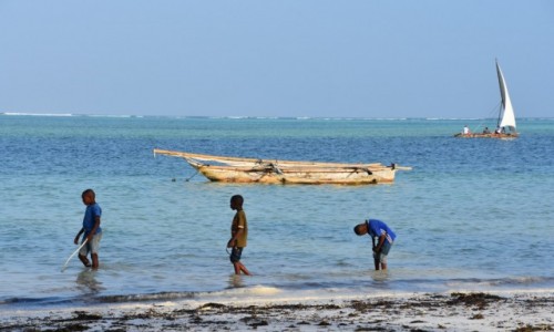 Zdjecie TANZANIA / Zanzibar / wybrzee wschodnie / Popoudniow por...