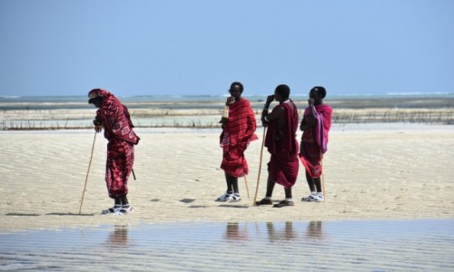 Zdjecie TANZANIA / Zanzibar / wschodnie wybrzee / Masajowie (w pracy)