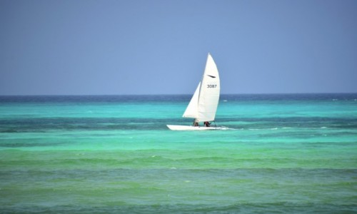 Zdjecie TANZANIA / Zanzibar / wschodnie wybrzee / eglowa