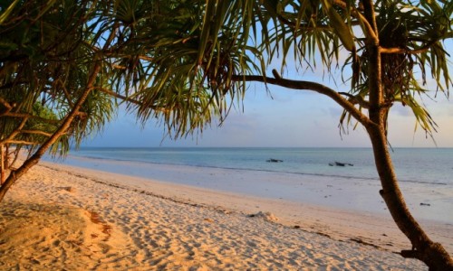 Zdjecie TANZANIA / Zanzibar / wschodnie wybrzee / ech...... pomarzy, wschd soca na play