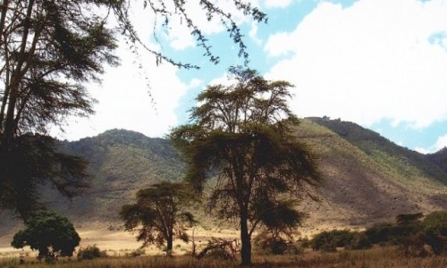 Zdjęcie TANZANIA / Ngorongoro / j.w. / obrazki z kaldery