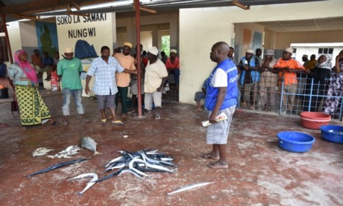 Zdjecie TANZANIA / Zanzibar /  wioska Nungwi, wybrzee pnocne / Aukcja na targu rybnym w Nungwi