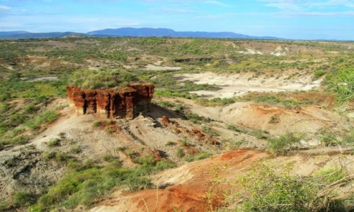 Zdjecie TANZANIA / obszar chroniony Ngorongoro / j.w. / wwz Olduvai