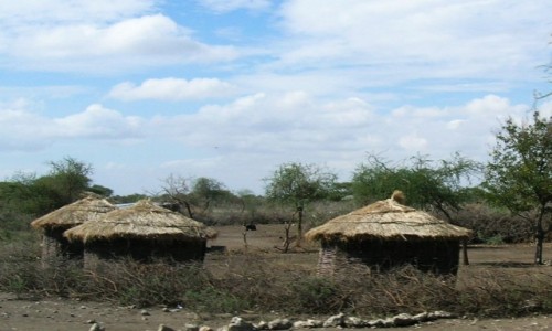 Zdjcie TANZANIA / obszar chroniony Ngorongoro / j.w. / wioska pasterzy