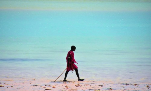 Zdjecie TANZANIA / Zanzibar / wybrzee wschodnie / Masaj