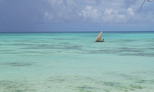 Zdjęcie TANZANIA / Zanzibar / Pongwe / Żeglowanie