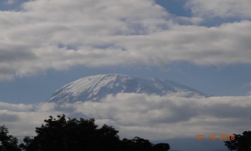 Zdjcie TANZANIA / Kilimanjaro / Kilimanjaro / Dach Afryki