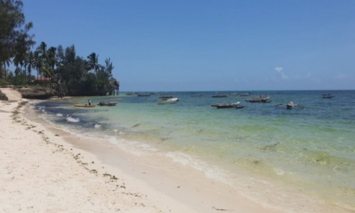Zdjecie TANZANIA / -uroa / jambiani / zanzibar