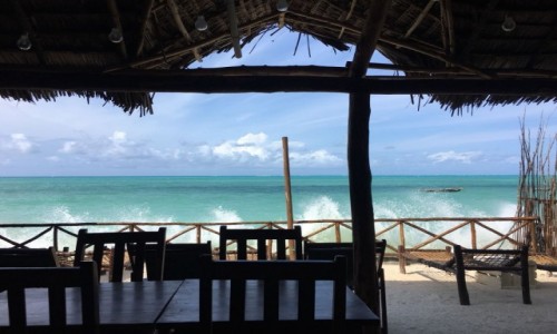 Zdjecie TANZANIA / Zanzibar / Jambiani / Jambiani Pili Pili 