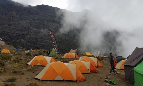 TANZANIA / Kilimandaro /   / Barranco Wall