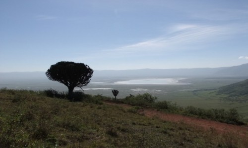 Zdj�cie TANZANIA / Afryka �rodkowa / Park Ngorongoro / krater Ngorongoro