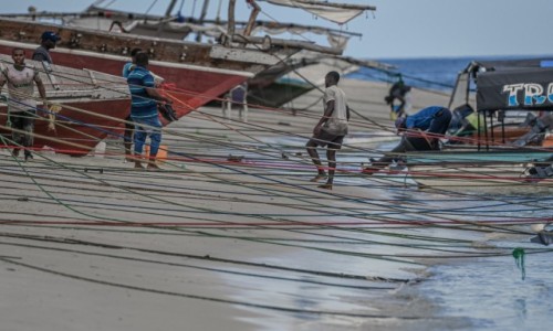 Zdjecie TANZANIA / Zanzibar / . / .