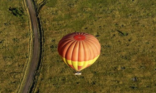 Zdjecie TANZANIA / Serengeti / Serengeti / widok na sawannę